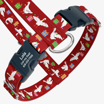 closeup view of harness with personalized buckle